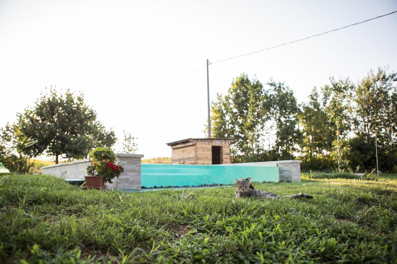 B&B Casa Campagnari Roverbella Kültér fotó